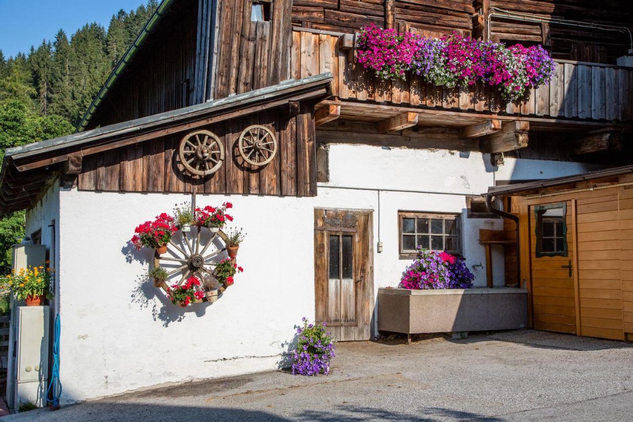 Pensjonat Bio-Bauernhof Grundlehnerhof Ramsau am Dachstein Zewnętrze zdjęcie