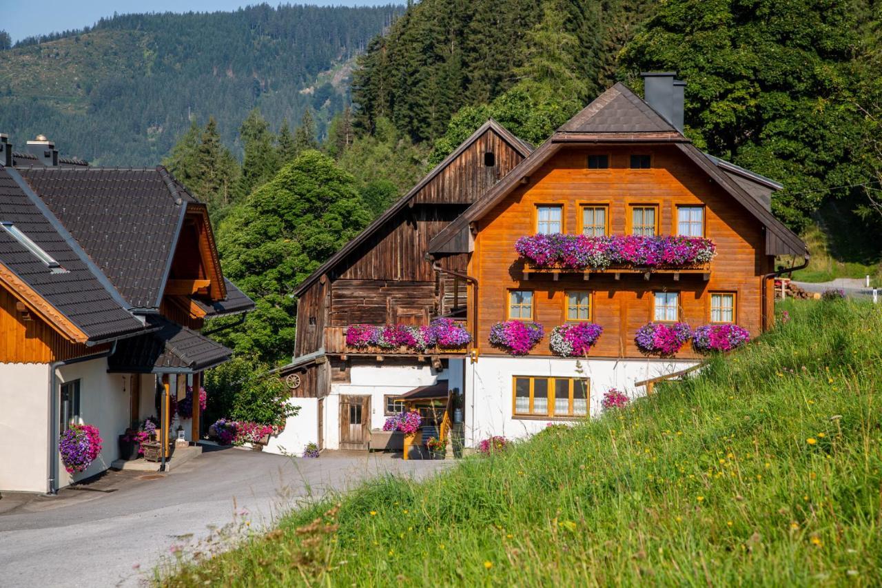 Pensjonat Bio-Bauernhof Grundlehnerhof Ramsau am Dachstein Zewnętrze zdjęcie