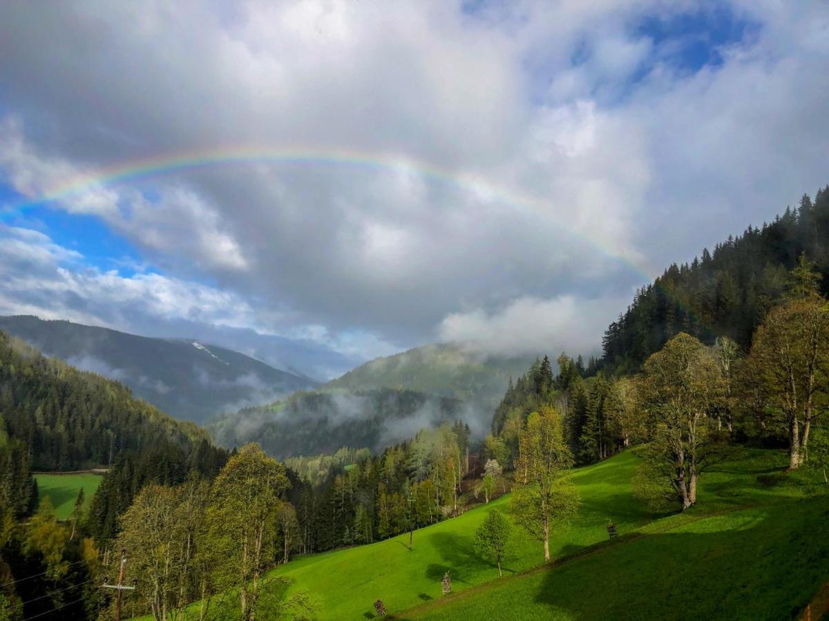 Pensjonat Bio-Bauernhof Grundlehnerhof Ramsau am Dachstein Zewnętrze zdjęcie