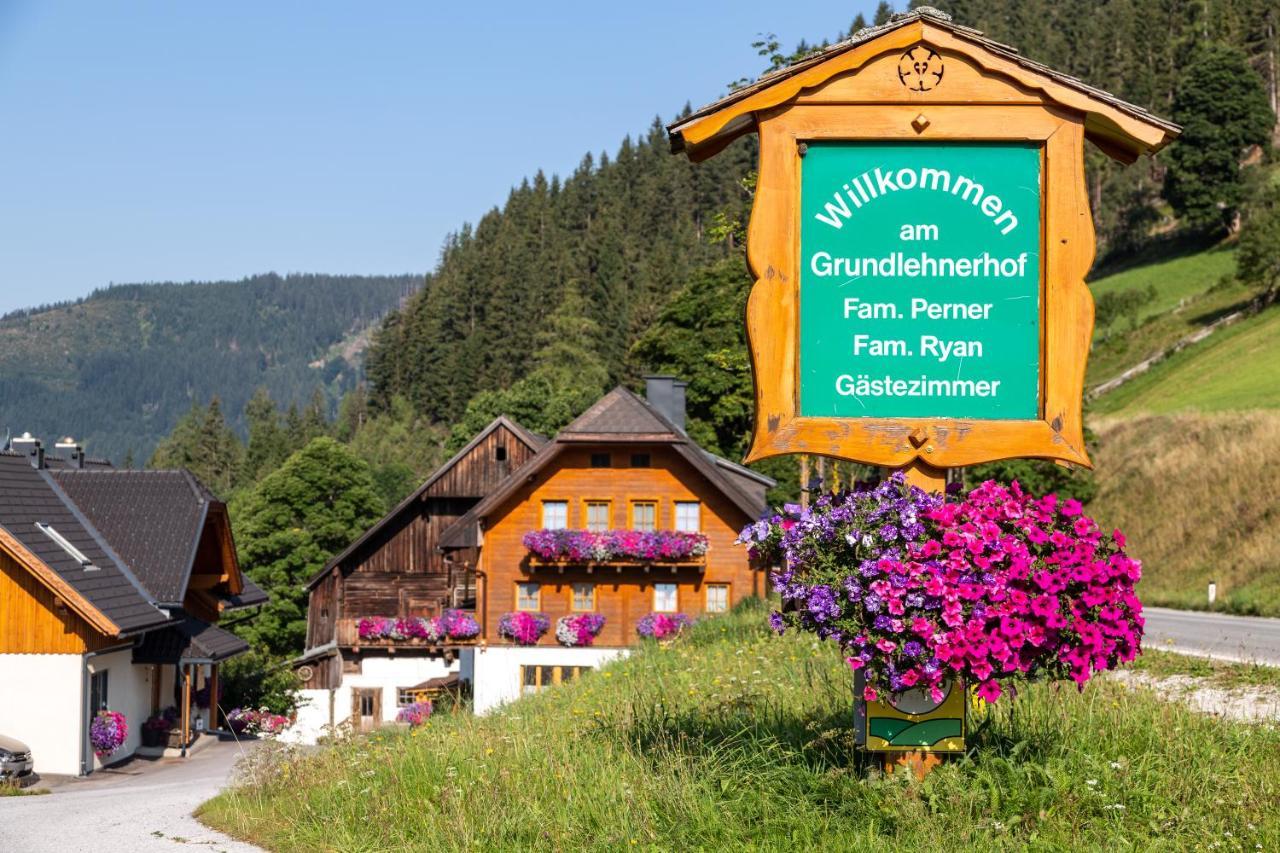 Pensjonat Bio-Bauernhof Grundlehnerhof Ramsau am Dachstein Zewnętrze zdjęcie