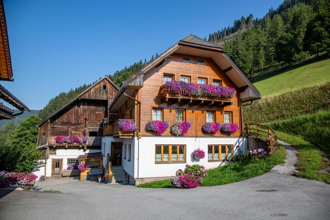 Pensjonat Bio-Bauernhof Grundlehnerhof Ramsau am Dachstein Zewnętrze zdjęcie