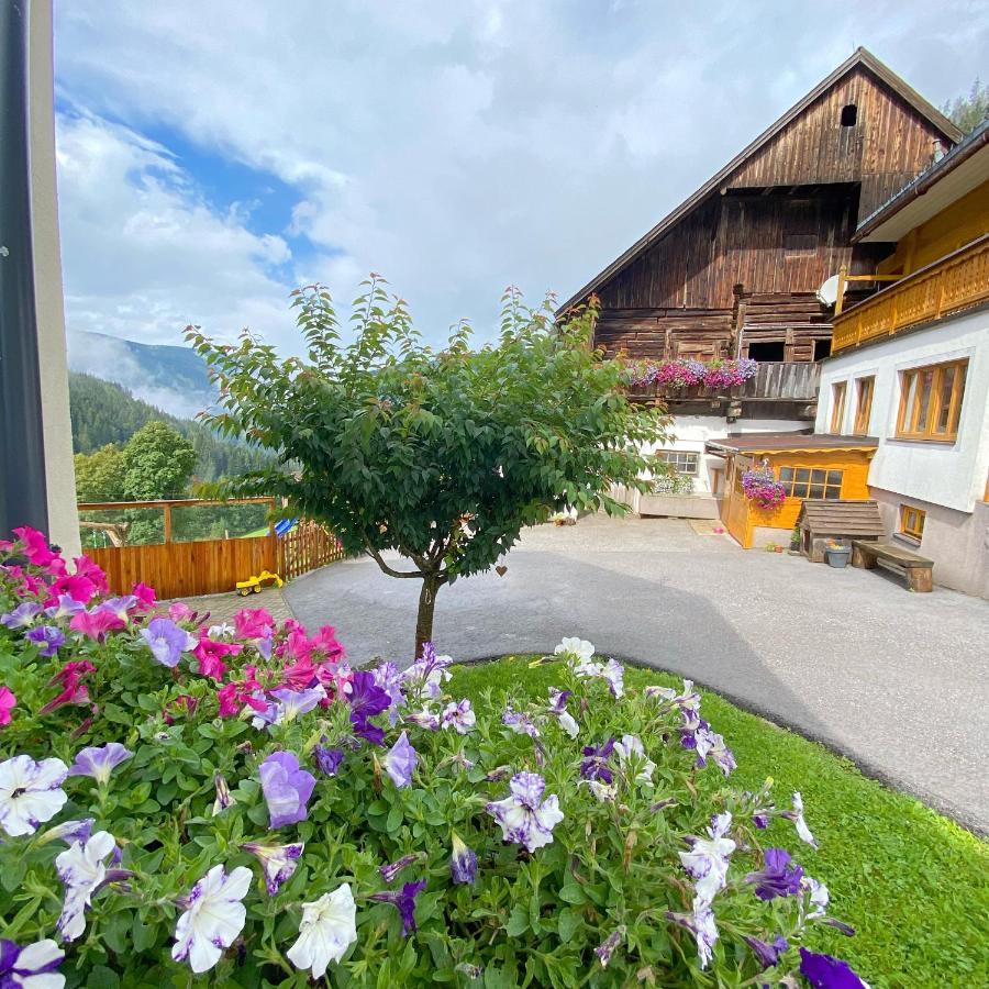 Pensjonat Bio-Bauernhof Grundlehnerhof Ramsau am Dachstein Zewnętrze zdjęcie