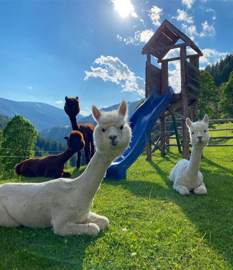 Pensjonat Bio-Bauernhof Grundlehnerhof Ramsau am Dachstein Zewnętrze zdjęcie