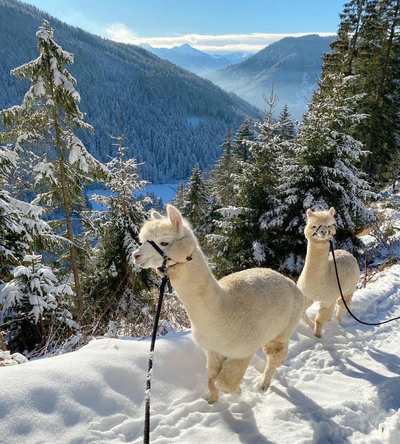 Pensjonat Bio-Bauernhof Grundlehnerhof Ramsau am Dachstein Zewnętrze zdjęcie