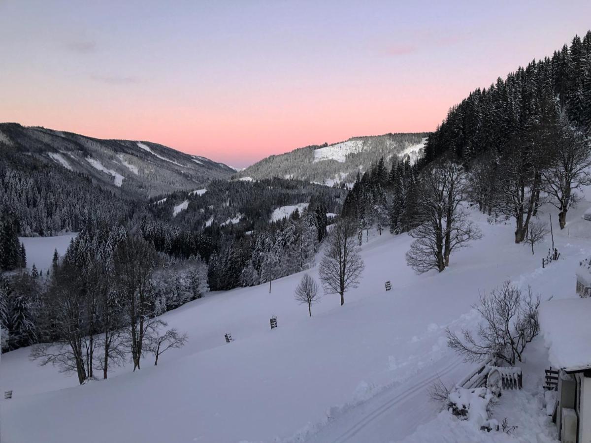 Pensjonat Bio-Bauernhof Grundlehnerhof Ramsau am Dachstein Zewnętrze zdjęcie