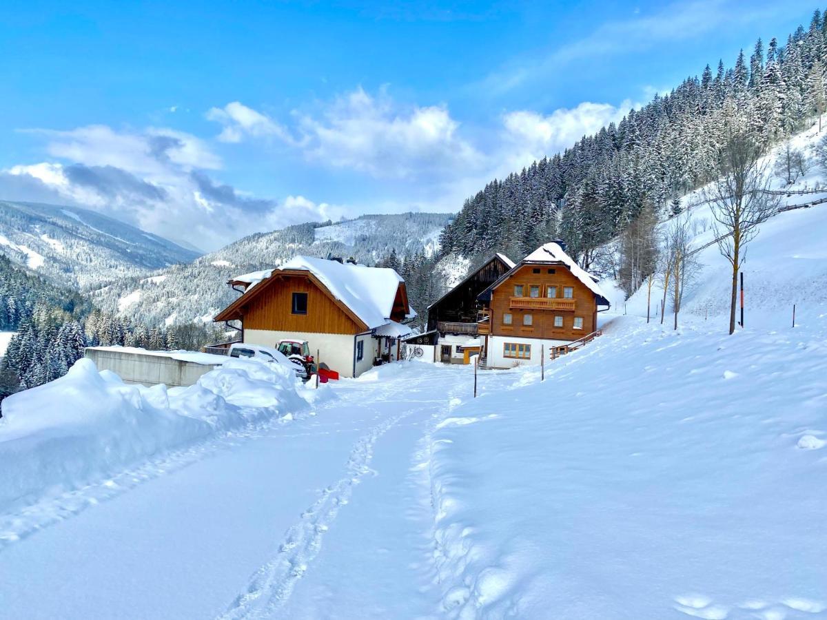Pensjonat Bio-Bauernhof Grundlehnerhof Ramsau am Dachstein Zewnętrze zdjęcie