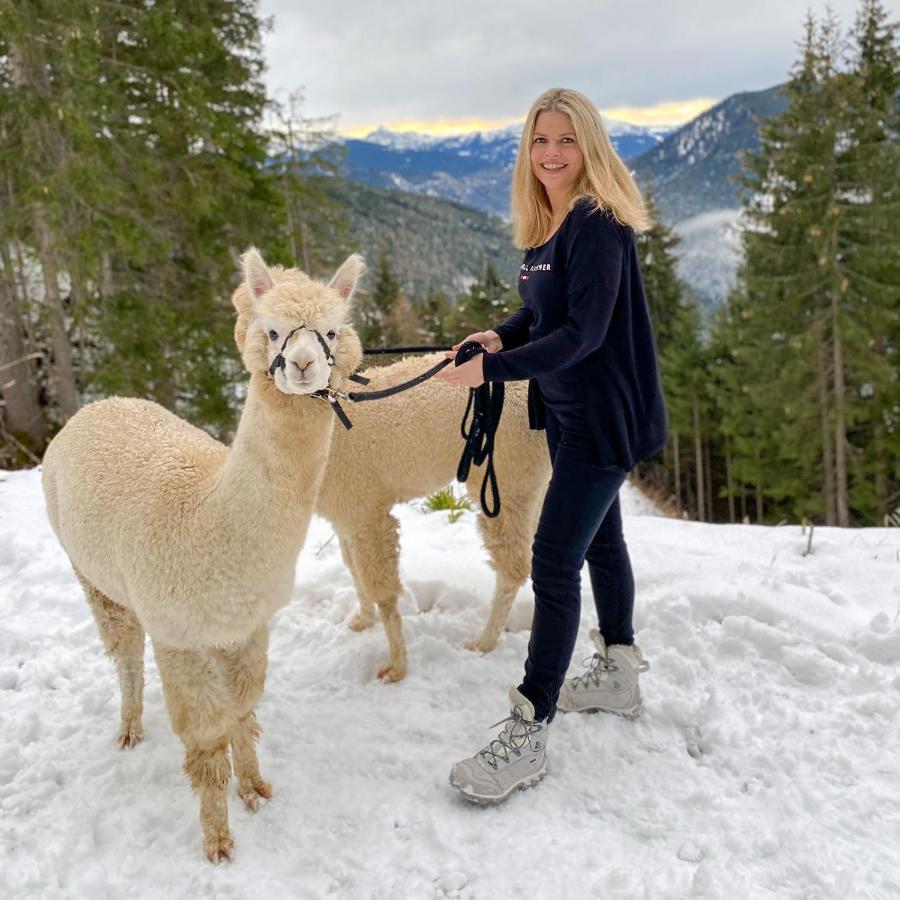 Pensjonat Bio-Bauernhof Grundlehnerhof Ramsau am Dachstein Zewnętrze zdjęcie