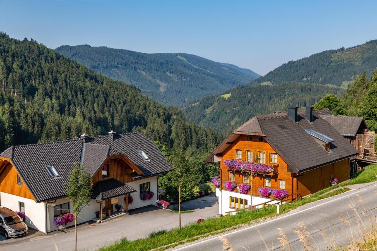 Pensjonat Bio-Bauernhof Grundlehnerhof Ramsau am Dachstein Zewnętrze zdjęcie